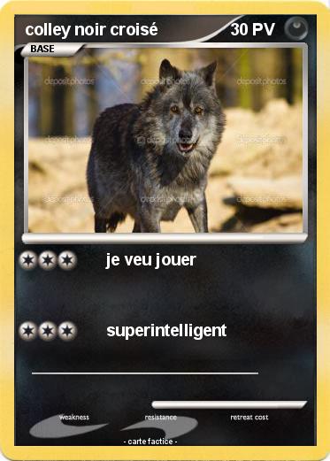 Pokemon colley noir croisé