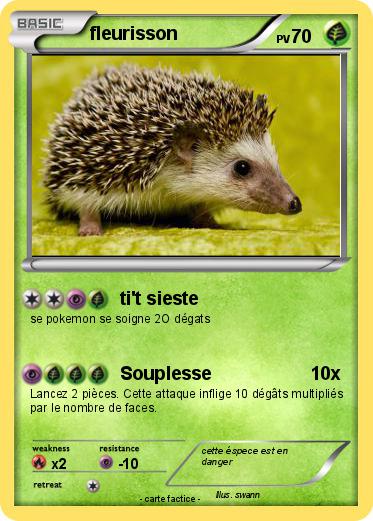 Pokemon fleurisson