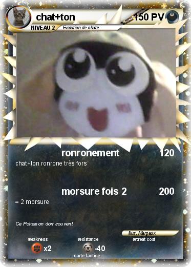 Pokemon chat+ton