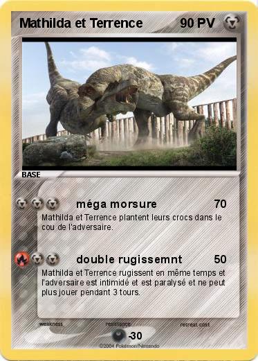Pokemon Mathilda et Terrence