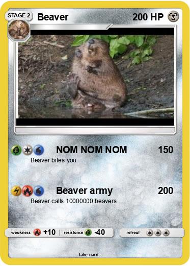 Pokemon Beaver