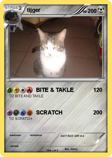 Pokemon tijger