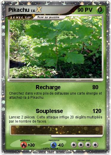 Pokemon P'tite plante