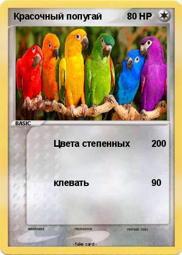 Pokemon Красочный попугай
