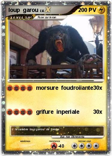 Pokemon loup  garou