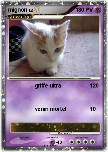 Pokemon mignon