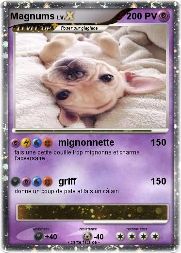 Pokemon Magnums