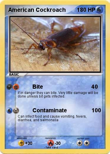 Pokemon American Cockroach
