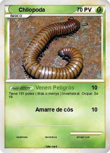 Pokemon Chilopoda