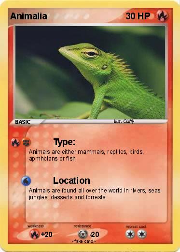 Pokemon Animalia
