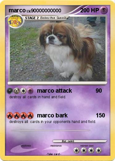 Pokemon marco