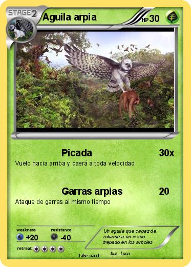 Pokemon Aguila arpia