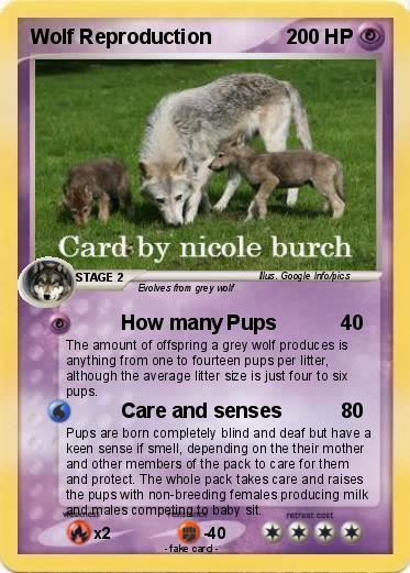 Pokemon Wolf Reproduction