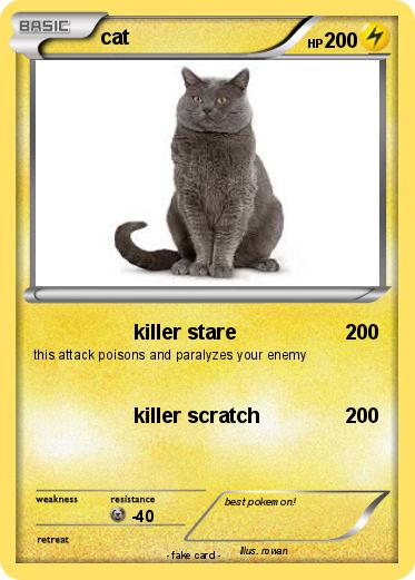 Pokemon cat