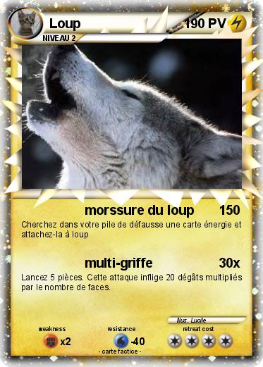 Pokemon Loup