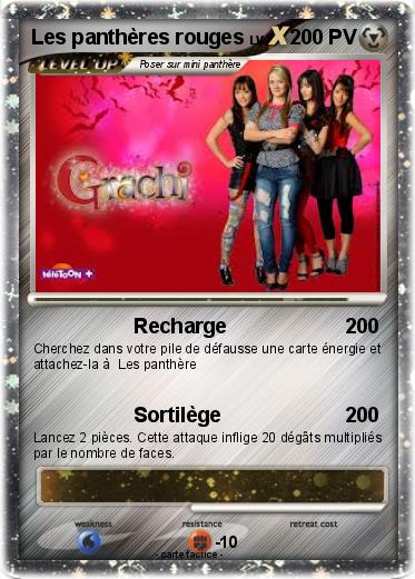 Pokemon Les panthères rouges