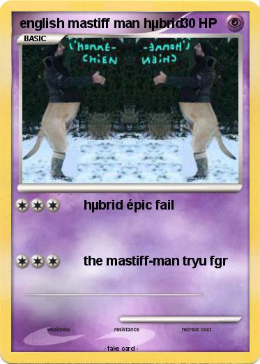 Pokemon english mastiff man hµbrid