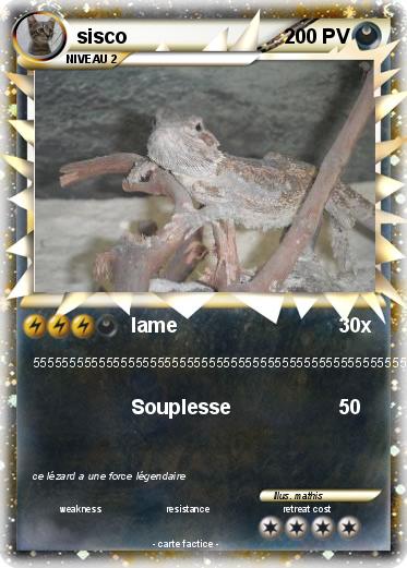 Pokemon sisco