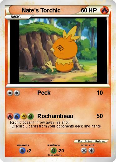 Pokemon Nate's Torchic