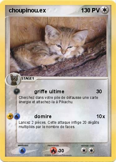 Pokemon choupinou.ex
