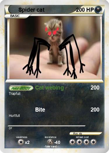 Pokemon Spider cat