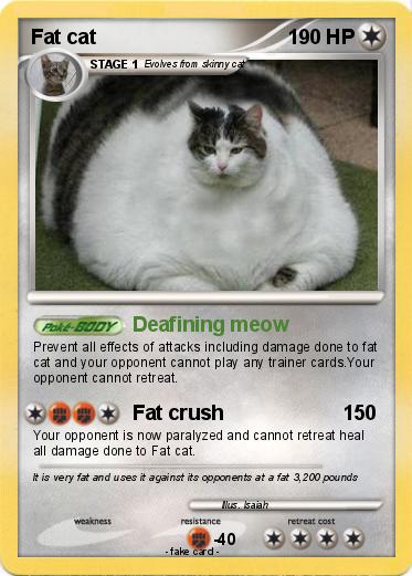Pokemon Fat cat