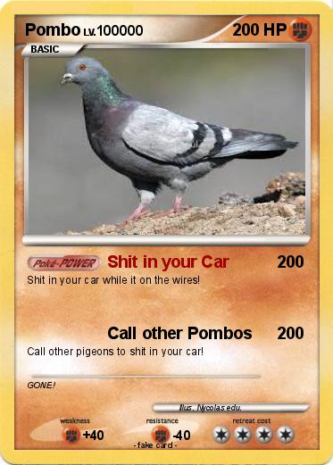 Pokemon Pombo