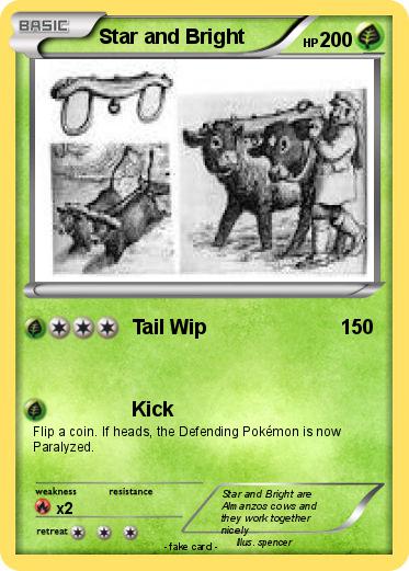 Pokemon Star and Bright