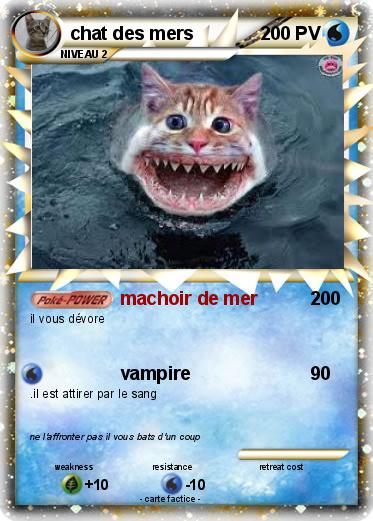 Pokemon chat des mers