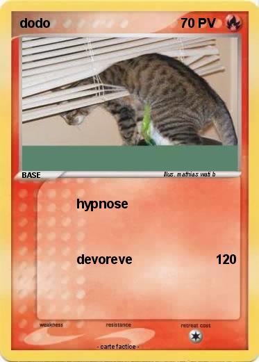 Pokemon dodo
