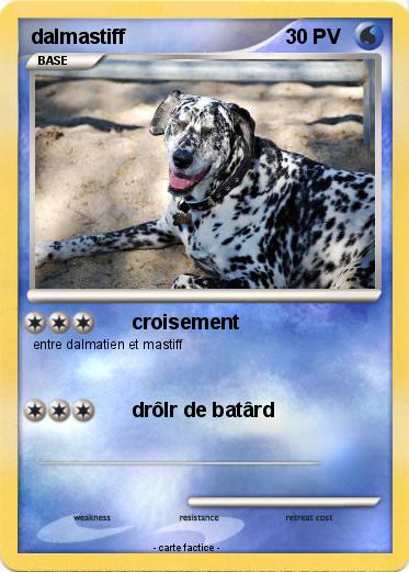 Pokemon dalmastiff