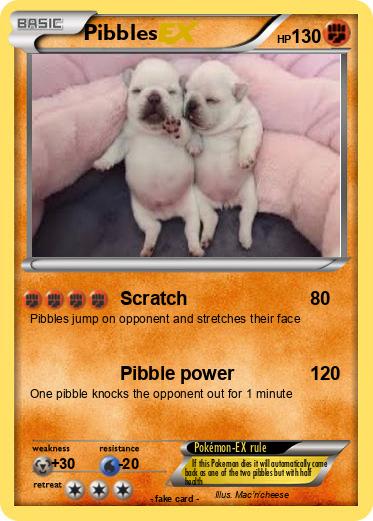 Pokemon Pibbles