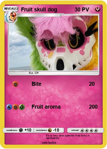 Pokemon Fruit skull dog