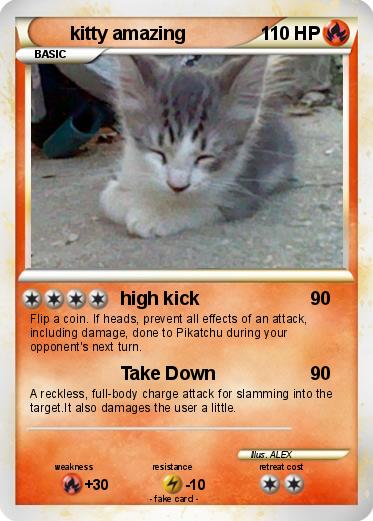 Pokemon kitty amazing