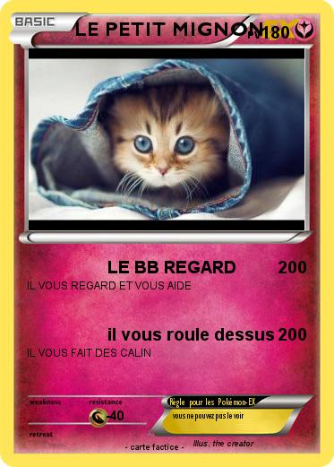 Pokemon LE PETIT MIGNON