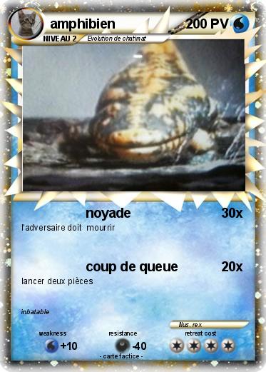 Pokemon amphibien