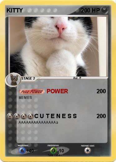 Pokemon KITTY