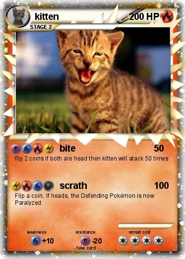 Pokemon kitten