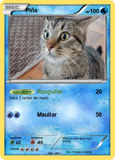 Pokemon Piña