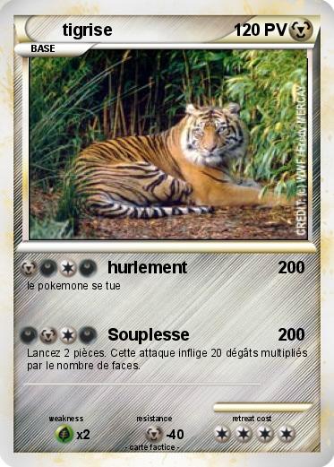 Pokemon tigrise