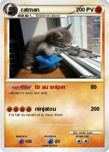 Pokemon catman