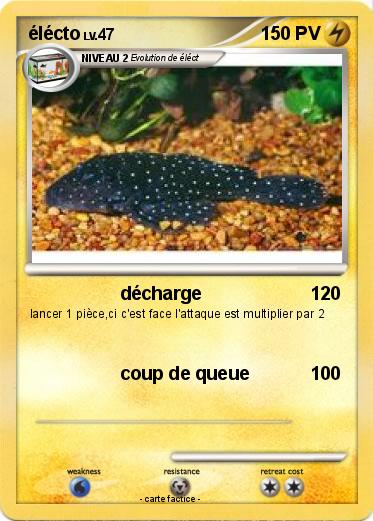 Pokemon élécto