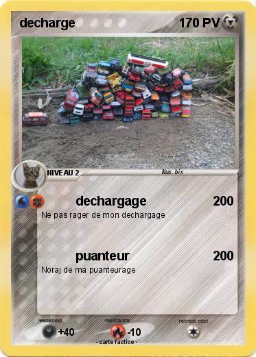 Pokemon decharge