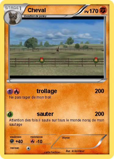 Pokemon Cheval