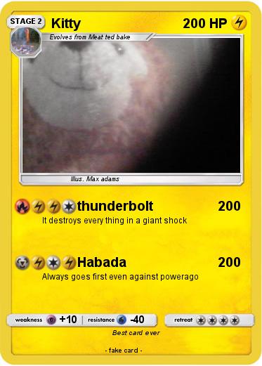 Pokemon Kitty