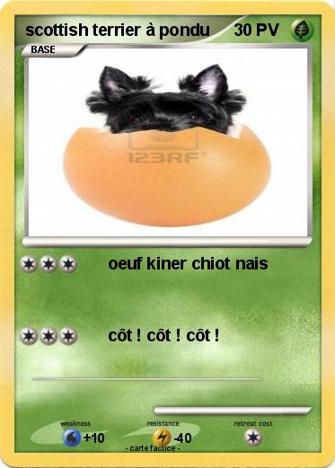 Pokemon scottish terrier à pondu