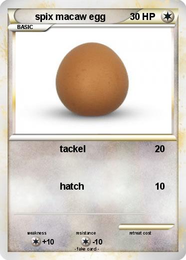 Pokemon spix macaw egg