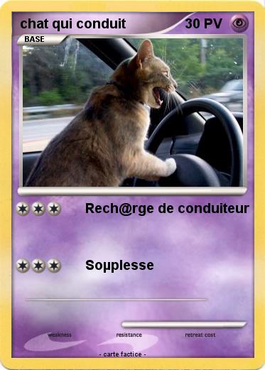 Pokemon chat qui conduit