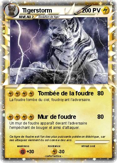 Pokemon Tigerstorm