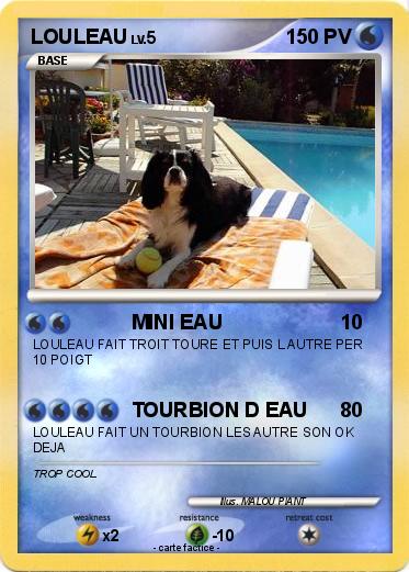 Pokemon LOULEAU